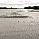 (Manitoba Co-operator file photo)