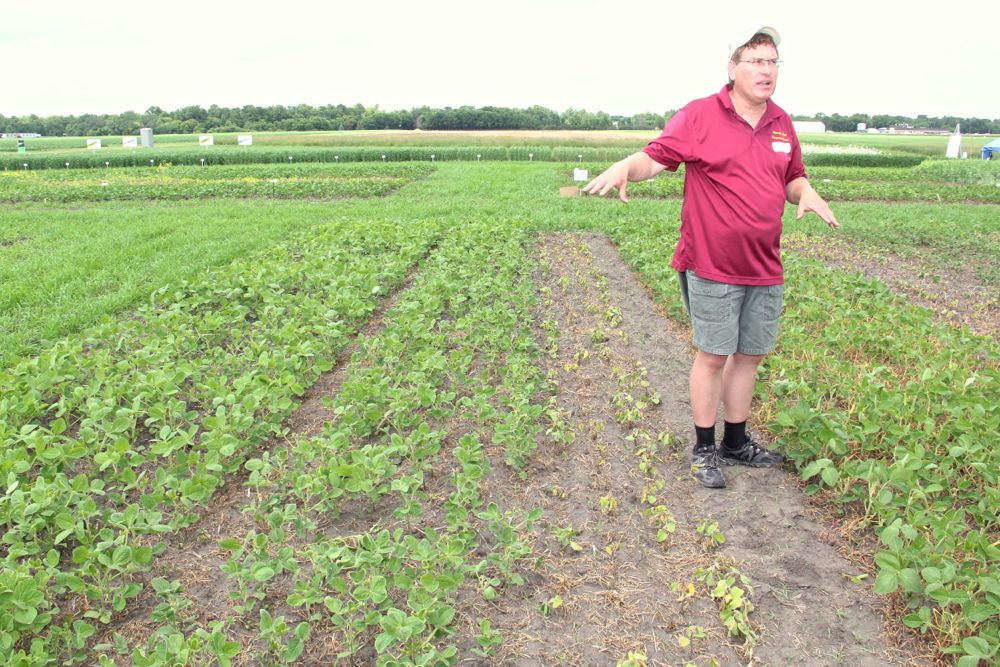 Speaking July 5 at the Crop Diagnostic School in Carman, Manitoba Agriculture’s Terry Buss shows a Roundup Ready 2 soybean plot dying due to dicamba drifting over from the Xtend soybean plot at left. (Allan Dawson photo)
