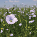 Photo: File