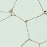 A microscopic-level view of fat tissue from a mouse. (Saverio Cinti and Andrew Greenberg photo courtesy ARS/USDA)