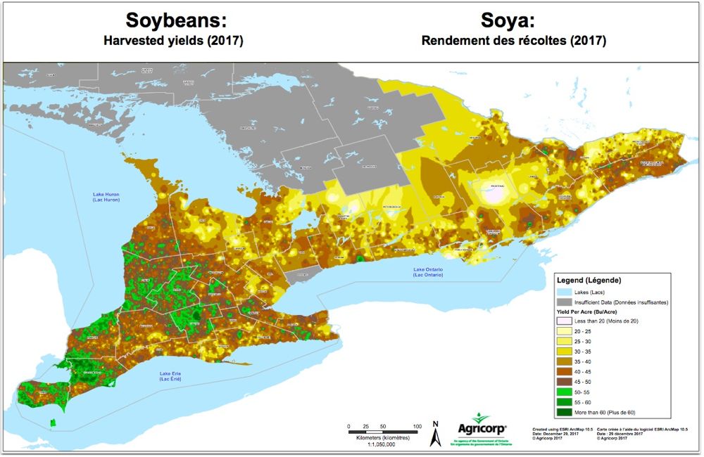 Hot fall pulls Ontario corn yields above average