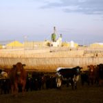 (Photo courtesy Canada Beef Inc.)