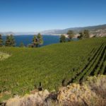 (WineBC.org)