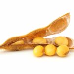 Bunge wrongly bet that soybean prices would rise as U.S.-China trade tensions eased.