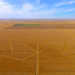 The Canada 150 emblem in a durum field. (Agr.gc.ca)