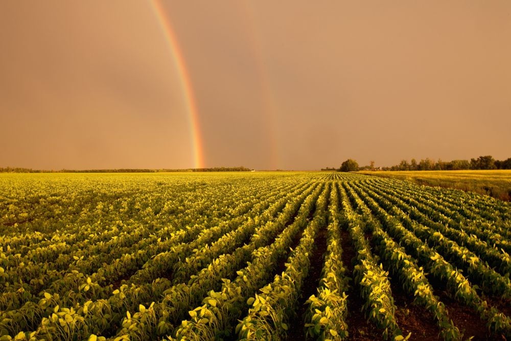 A double rainbow over a Manitoba soybean field. (ImagineGolf/iStock/Getty Images)
