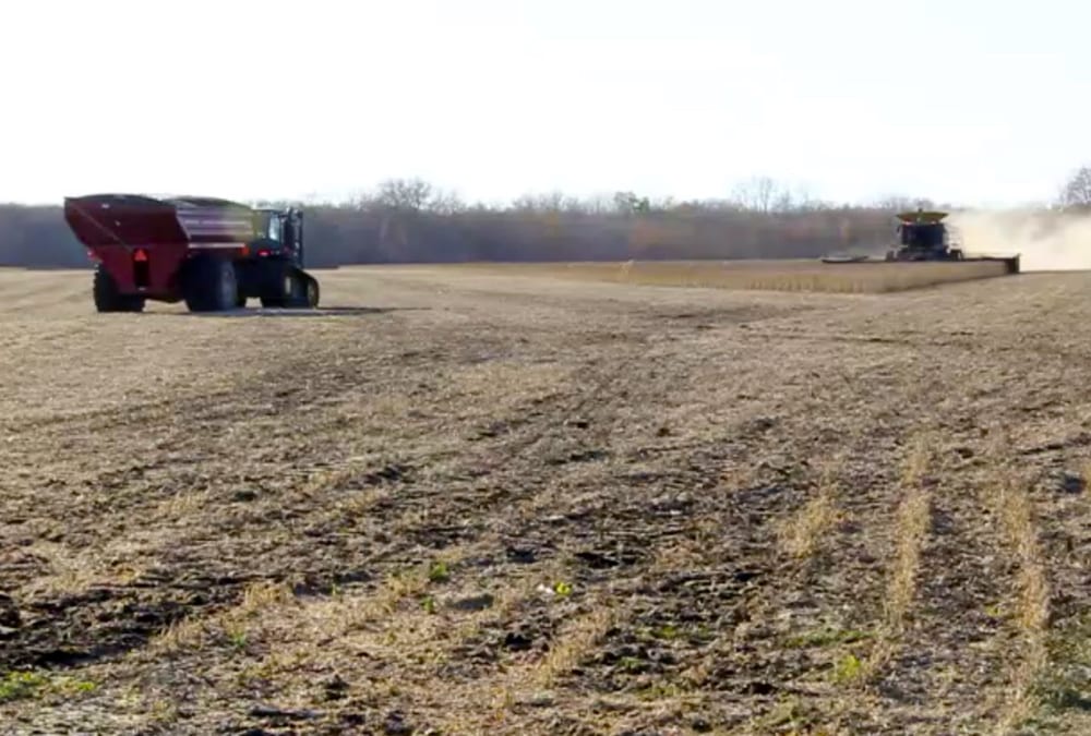 Soybeans getting one step closer to the bin in Western Manitoba in October 2018.  Photo: Greg Berg
