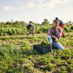 For young people in agriculture, people who live and participate in a community with a common purpose is becoming an attractive option.