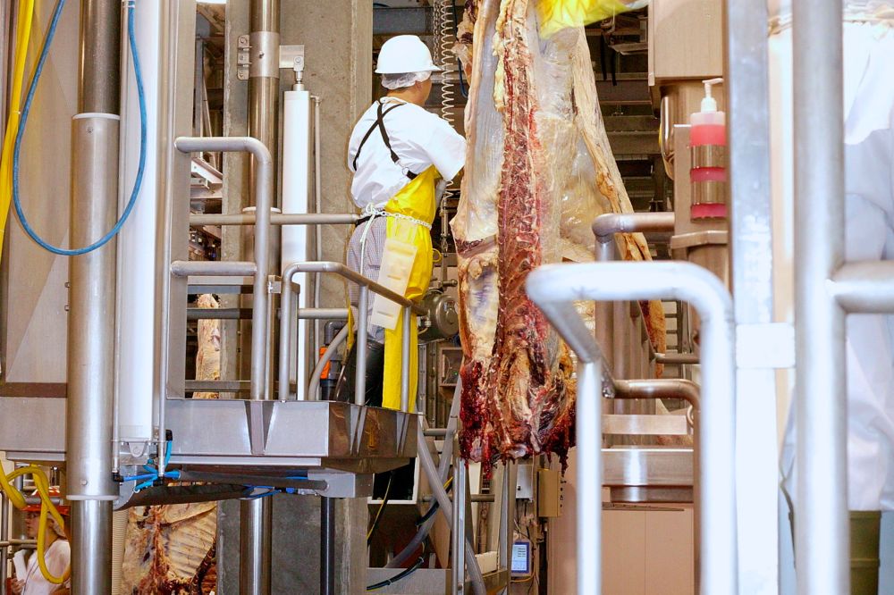 Japan beef buyers ease back a bit on purchases