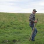 Moving cattle is “a piece of cake” once they get used to a rotational grazing system,
says rancher Morrie Goetjen.