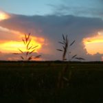 One weather forecaster predicts rainfall totals will be near normal across much of Alberta while another outlook forecasts a ‘hotter-than-usual summer’ on the Prairies.