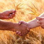 (Zoran Zeremski/iStock/Getty Images)