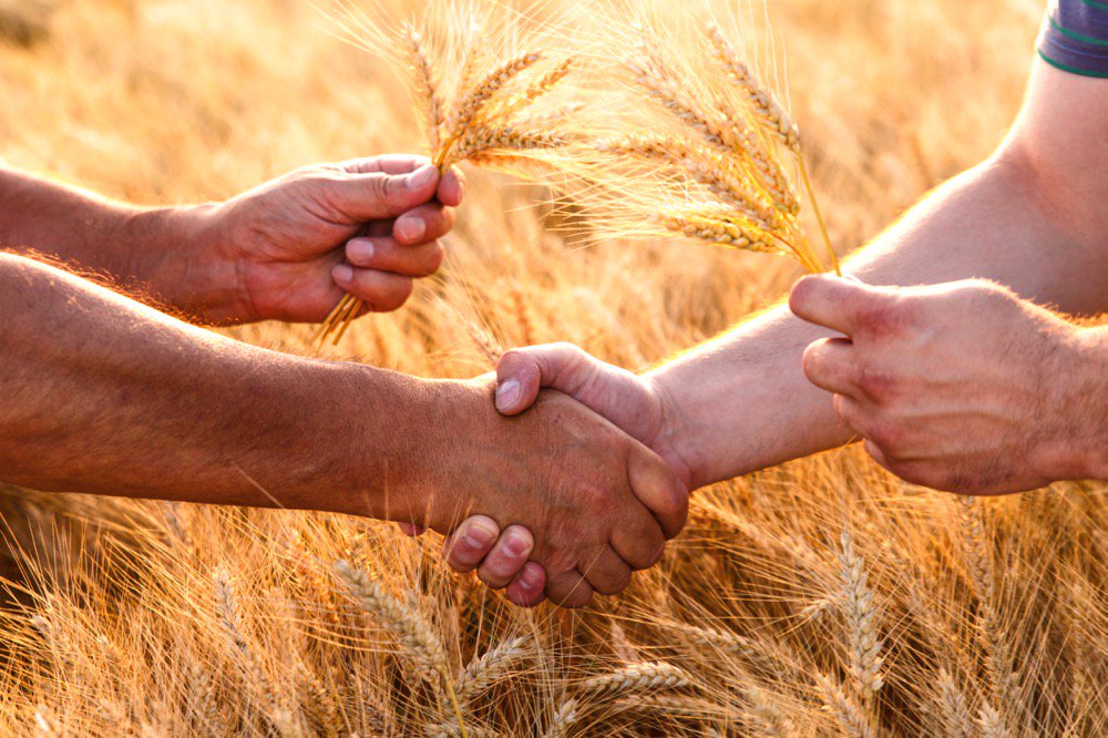 (Zoran Zeremski/iStock/Getty Images)
