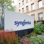 Syngenta’s headquarters in Basel, Switzerland. (Photo courtesy Syngenta)
