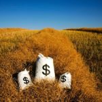 A drop in agriculture’s contribution to the economy was largely attributed to poor weather.