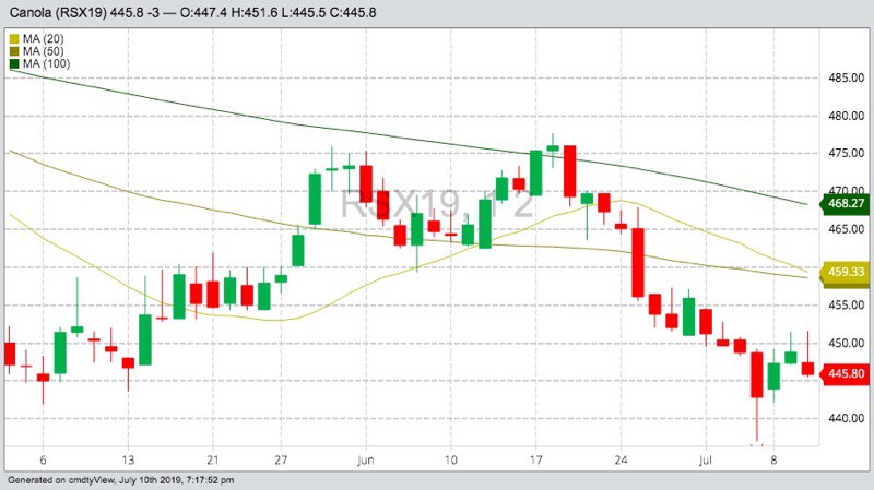 ICE November 2019 canola with 20-, 50- and 100-day moving averages. (Barchart)
