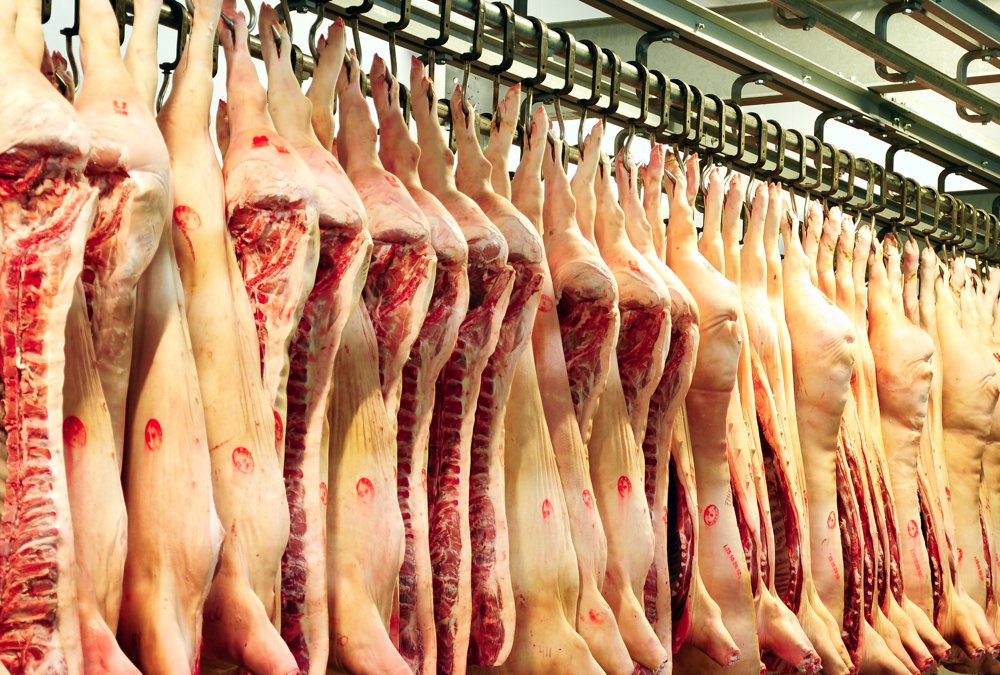 China imported 160,467 tonnes of pork in June.  Photo: iStock/Getty Images
