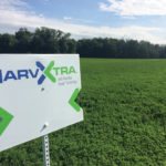 HarvXtra alfalfa with Roundup Ready technology is gaining ground in Eastern Canada, but there are no plans to bring it west yet.