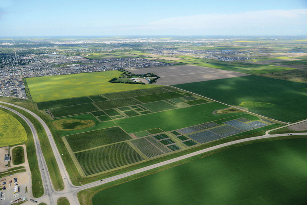 Cereal breeding is pretty much entirely done by public researchers, with the Crop Development Centre at the University of Saskatchewan.