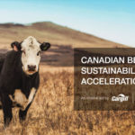 Tracking beef produced under sustainable beef protocols from ranches all the way to a store or restaurant is a big undertaking. VBP+
is using government grants to make its part of the tracking system more streamlined and cost-effective.