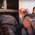 This video posted on YouTube shows animal activists entering a turkey barn at the Jumbo Valley Hutterite Colony on Labour Day. The protesters, who had been dropped off by buses, arrived early in the morning before workers from the colony were on site.