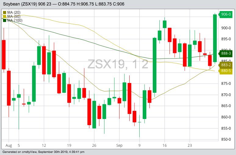U.S. grains: Soy, corn rally on smaller-than-expected stockpiles
