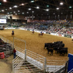 Farmfair runs from Nov. 6-10 at the Edmonton EXPO Centre.