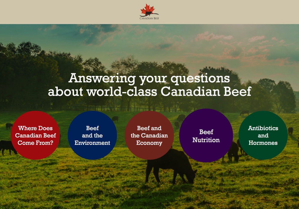 New beef website answers consumer questions