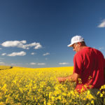 The discovery of a new strain of clubroot in Manitoba is a reminder that all canola growers need to have a clubroot management plan, the canola council says.
