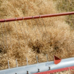 If your acres weren’t located in southern Alberta, you likely had a chance to make some harvest progress late last week.