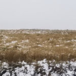 Dealing with snow is the top priority for many canola growers now, but those wanting to market canola now shouldn’t have problems finding delivery opportunities, says Alberta Canola.