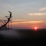Irrigation, like this system near Taber, is a common sight in parts of southern Alberta. But there are predictions there will be an expansion of irrigated acres in central and northern areas of the province.