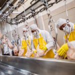 The American food industry, and in particular the meat industry, has a long history of resisting government regulation and intervention.