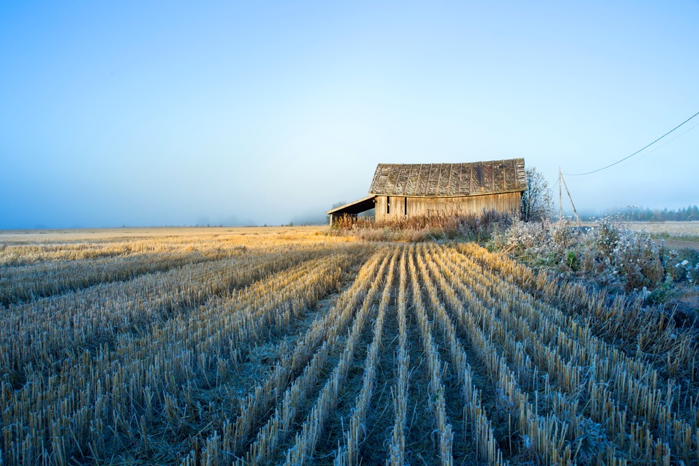 Alberta producers battle for harvest progress