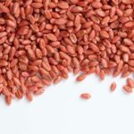 (Syngenta.ca)