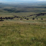 Asking for a price hike isn’t usual, but grazing lease fees had been kept far too low for far too long, say grazing associations.