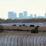 More than 625 square kilometres of agricultural land in Alberta were lost to residential or industrial uses between 2000 and 2012, according to the Alberta Land Institute. A new organization, the Alberta Farmland Trust, has been created to give landowners a way to keep good land in production.