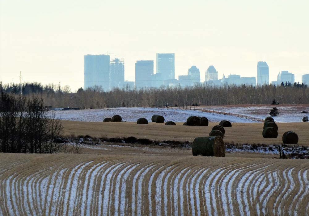 More than 625 square kilometres of agricultural land in Alberta were lost to residential or industrial uses between 2000 and 2012, according to the Alberta Land Institute. A new organization, the Alberta Farmland Trust, has been created to give landowners a way to keep good land in production.