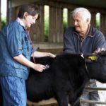 Mentoring of young veterinarians is key to retention at clinics.