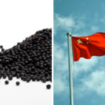 Much lower canola exports to China have resulted in Canada’s canola producers holding significant inventory.