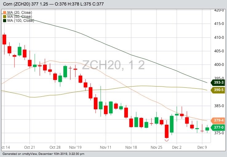 CBOT March 2020 corn with 20-, 50- and 100-day moving averages. (Barchart)
