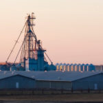 Was this the future that pork producers envisioned half a century ago when Alberta Pork was founded?