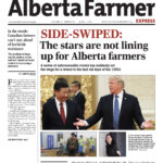 China’s decision to get back at Canada by severely restricting canola seed imports made news all year long.