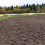 Most arenas feature a surface, base and sub-base, all of which contribute to the experience of the horse.