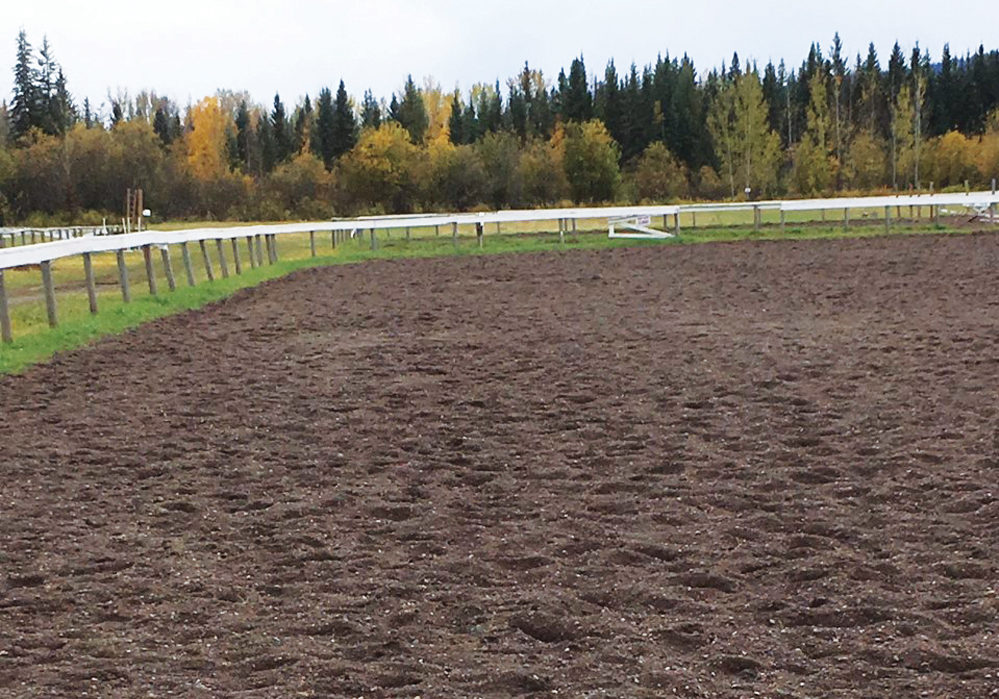 Most arenas feature a surface, base and sub-base, all of which contribute to the experience of the horse.