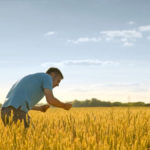 Olds College Smart Farm expanding thanks to gift of land
