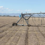 Pivots that used to sink into the soil on Brendon Rockey’s farm was one of the signs that something was wrong with the soil structure,
the Colorado potato grower told attendees at the Western Canada Conference on Soil Health & Grazing.