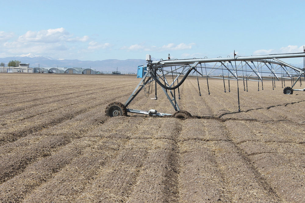 Pivots that used to sink into the soil on Brendon Rockey’s farm was one of the signs that something was wrong with the soil structure,  the Colorado potato grower told attendees at the Western Canada Conference on Soil Health & Grazing.