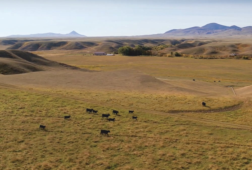 The 47,000-acre Deer Creek Livestock ranch is this year’s winner of Alberta Beef Producers’ environmental stewardship award.