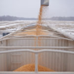 There’s nothing unusual about loading up a semi, unless it’s being done on behalf of someone trying to
steal the grain — which was the case in Strathcona County last month.